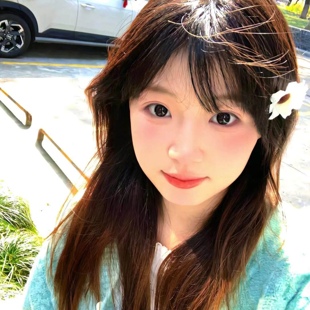 蒙哥一家的故事